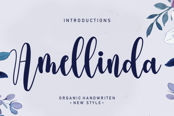 Amellinda: A Designer’s Honest Review for Branding