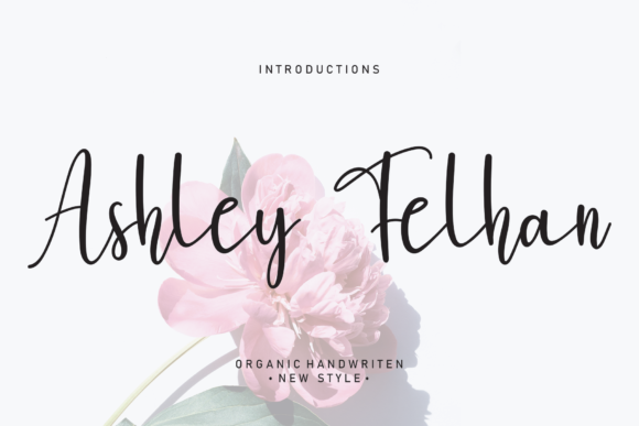 Ashley Felhan: A Playful Script Font for Editorial Design