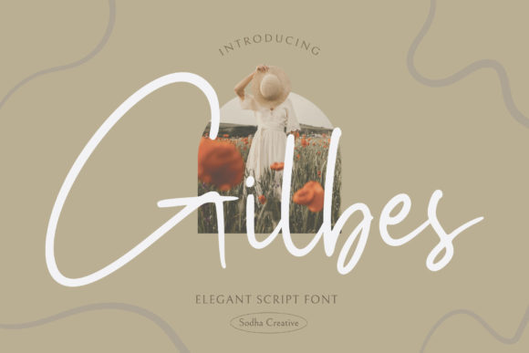 Gilbes Font Review: A Balanced Script for Social Campaigns