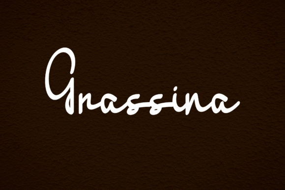 Grassina: The Script Font That Elevates Your Campaign Visuals