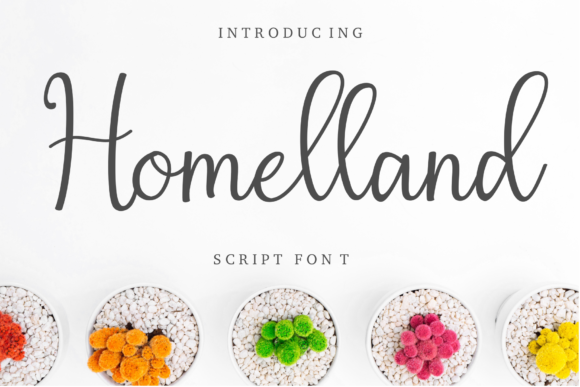 Homelland Font Review: A Delicate Script for Elegant Brands