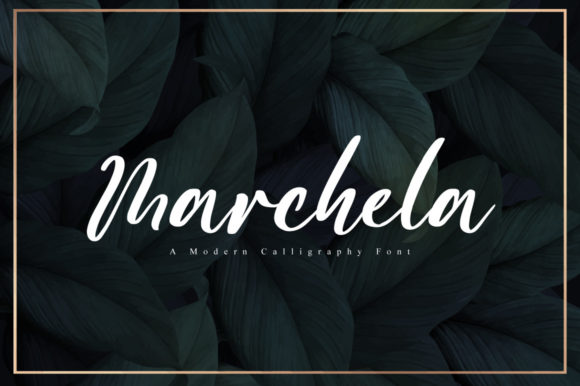 Marchela Font Review: Elevating Campaigns with Romantic Script