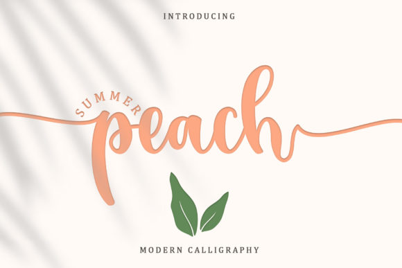 Summer Peach Font Review: A Dazzling Script for Web Design